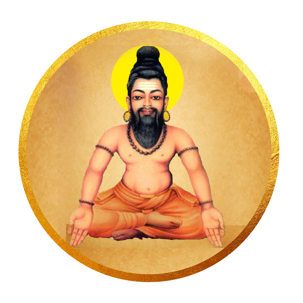 Mahavatar Babaji and 18 Siddhar Homam