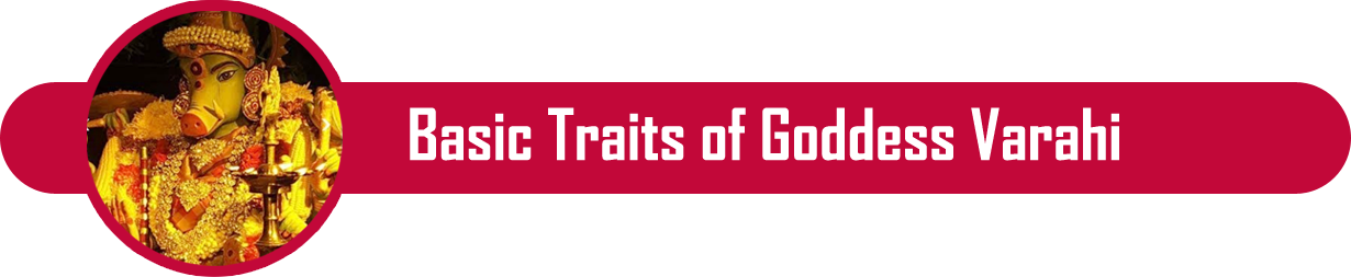 traits